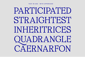 MTC Ciscela - Unique Serif Display