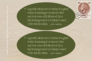 Chanel Gleminore Decorative Swash, a Serif Font by timelesstype.co (Thumbnail 9 of 15)