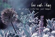 Minacht Font, a Script Font by SophieSaxo (Thumbnail 2 of 6)
