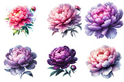 Pink & Purple Peony Flowers Clipart, an Illustration by Watercolor design (Thumbnail 4 of 4)