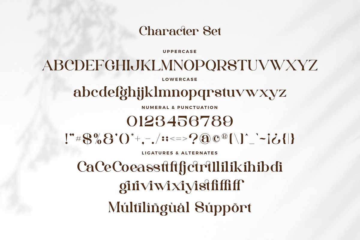 Cottage - Stylish Serif Font, a Serif Font by Aqeel_Art (Photo 8 of 8)