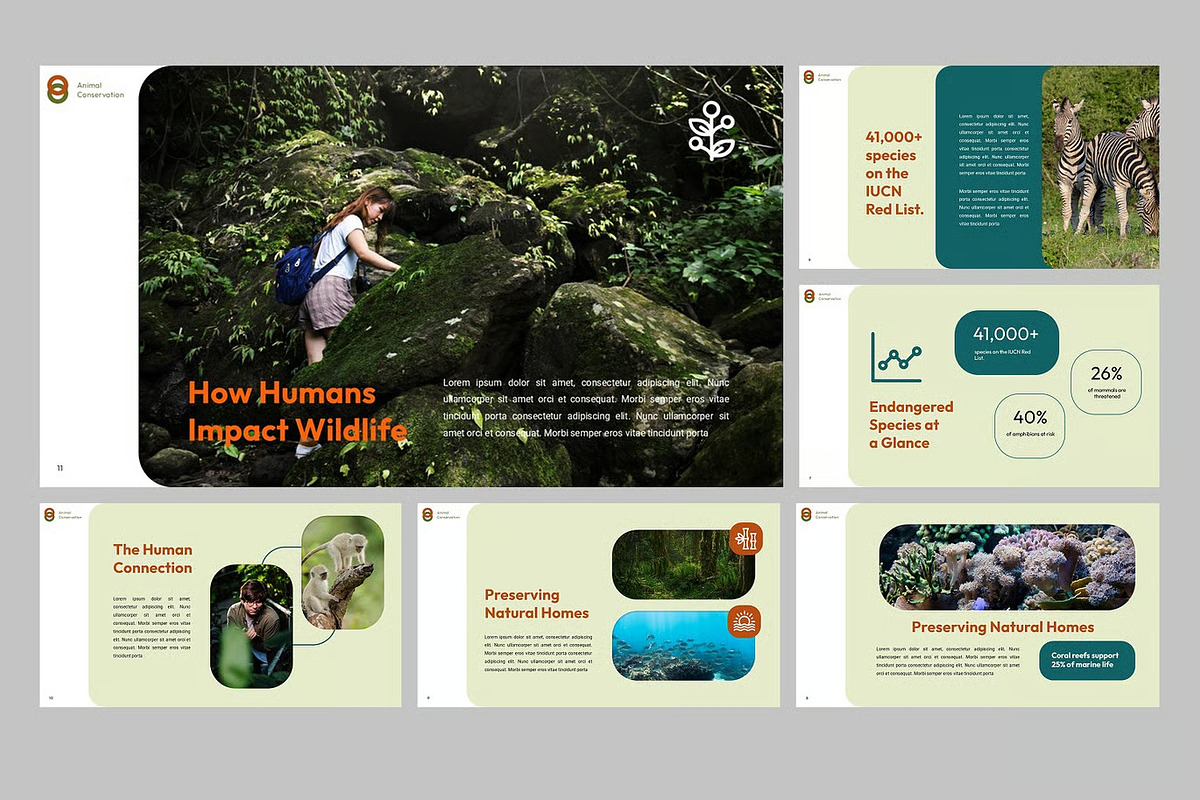 Animal Conservation G Slides, PPoint preview 4