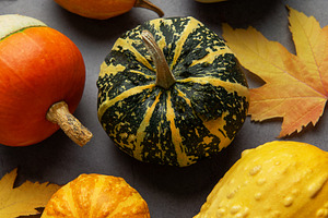Autumn gourds and leaves creating a seasonal still life, a Food & Drink Photo by Olena Rudo