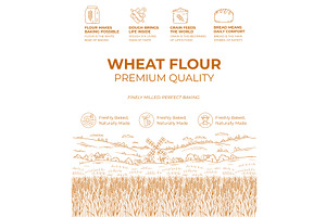 Quality flour packaging showcasing, a Food Illustration by Ilia Design