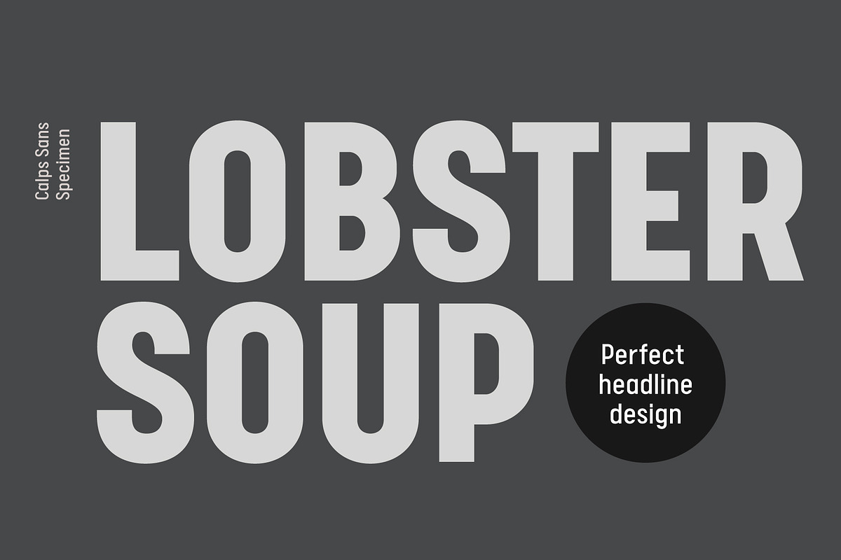 Calps Sans Font, a Sans Serif Font by Typesketchbook Foundry (Photo 3 of 7)