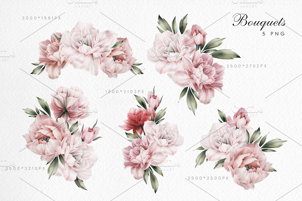 WATERCOLOR BUNDLE Peonies & Roses, an Illustration by ollalya (Photo 29 of 101)
