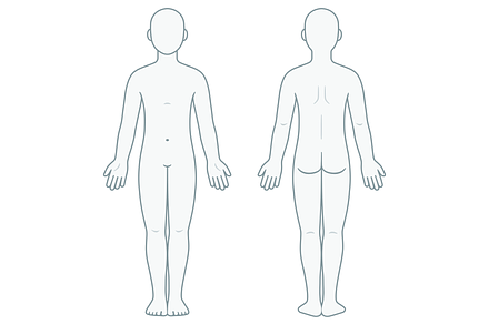 Blank Body Anatomy Chart (Unisex), a Healthcare Illustration by Irina Mir