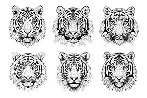 Polygonal tiger head line sketch, an Animal Illustration by Valerie Bodnar