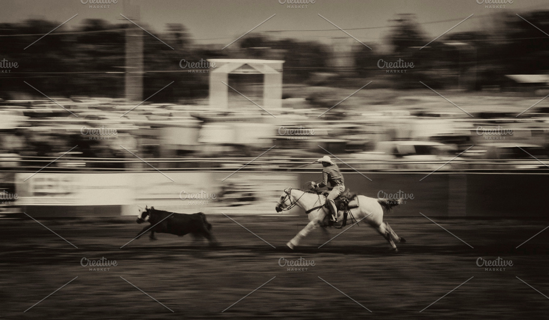 Cowboy roping cattle, a Person Photo by tiffany.mueller