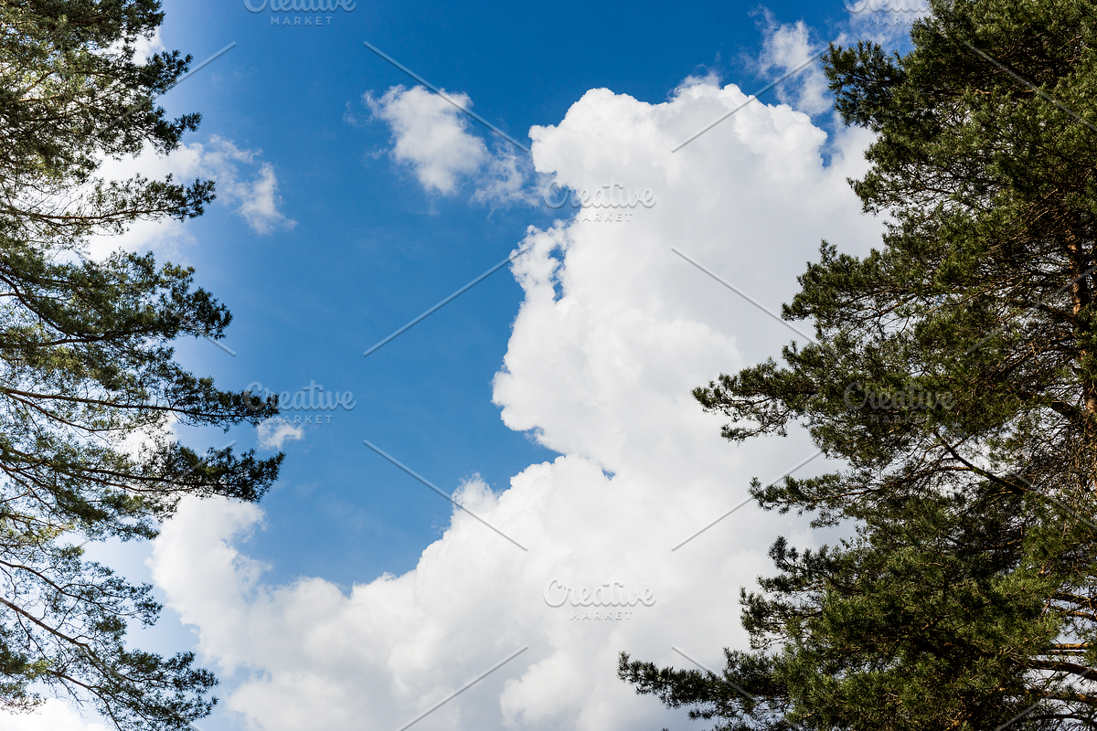 texture clouds sky clouds blue sky, a Nature Photo by VetalStock (Photo 4 of 5)