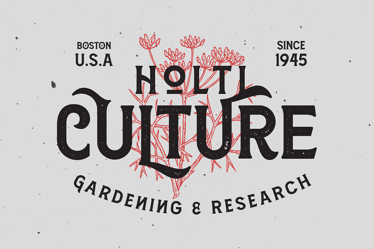 Amnestia Typeface with Extra, a Serif Font by Arterfak Project (Photo 12 of 16)