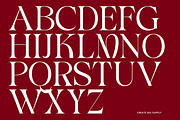 Maeda, a Sans Serif Font by CreateBigSupply (Thumbnail 4 of 8)