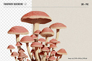 Fungi - botanical illustrations, an Object Graphic by AI Crafted Magnolia (Thumbnail 2 of 13)