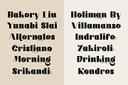 Mindely, a Serif Font by ahweproject (Thumbnail 6 of 12)