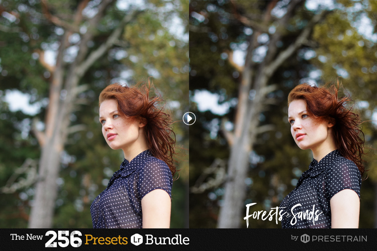 256 New Lightroom Preset Bundle, an Action Add-On by Presetrain Co. (Photo 26 of 51)
