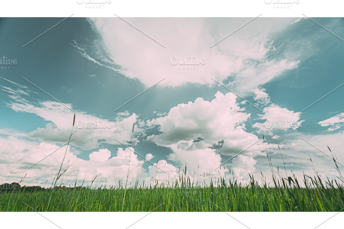 Countryside Rural Field Landscape, a Graphic by Our Amazing World (Photo 1 of 2)