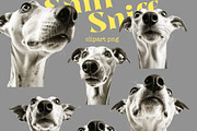 Sniff-Sniff, an Object Graphic by TheCuteShop (Thumbnail 4 of 6)