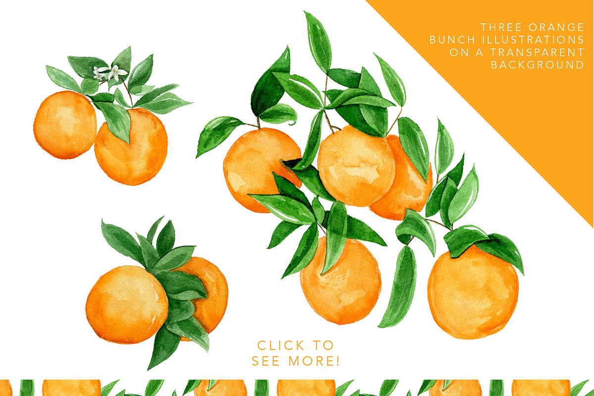 Juicy Watercolor Orange Collection, an Illustration by One and Only Paper (Photo 3 of 8)