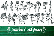 Big collection wild flowers!, an Illustration by TashaDraw (Thumbnail 2 of 6)