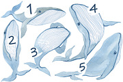 Whale watercolor. Print., an Animal Illustration by Novikova Lida (Thumbnail 2 of 4)
