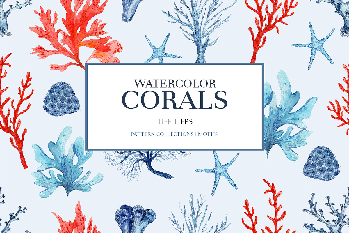CORALS, a Pattern Graphic by HannaStudio (Photo 1 of 7)