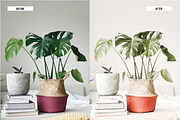 Lightroom Presets Light and Airy, an Action Add-On by Best Lightroom Presets (Thumbnail 11 of 13)