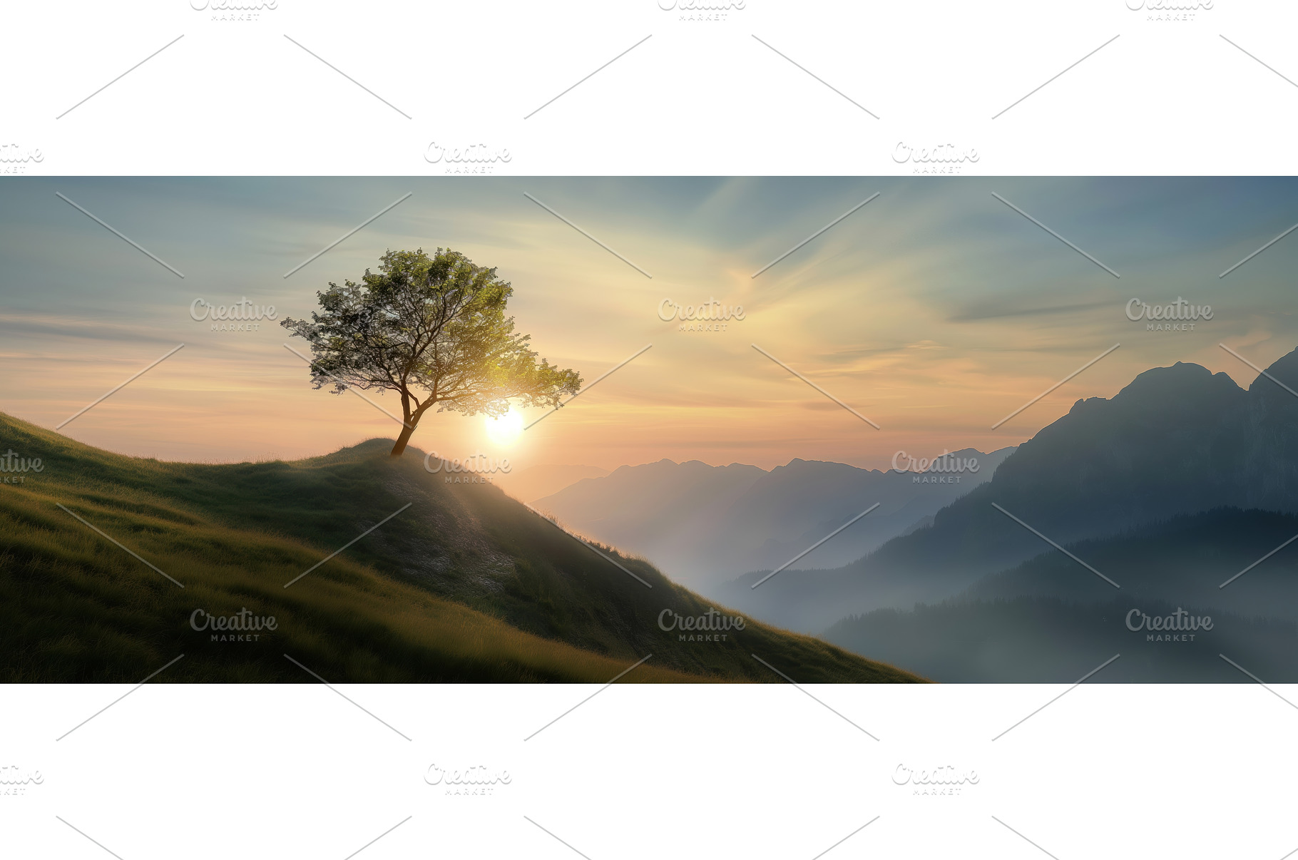 A Solitary Tree at Sunset on a, a Nature Photo by BazziBa♥
