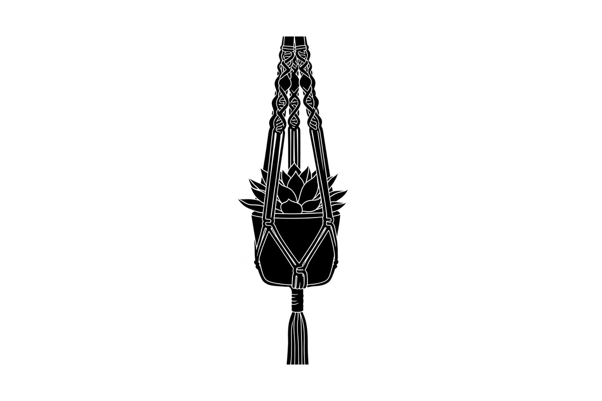 Macrame Plant Hanger Bundle, an Illustration by Creativeshirt (Photo 2 of 31)