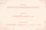 Bellaif | modern handwritten font, a Script Font by Lightsense (Thumbnail 9 of 10)