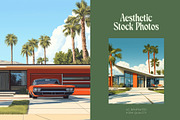60 Mid Century House Illustrations, a Decorative Illustration by Incomelion (Thumbnail 12 of 13)