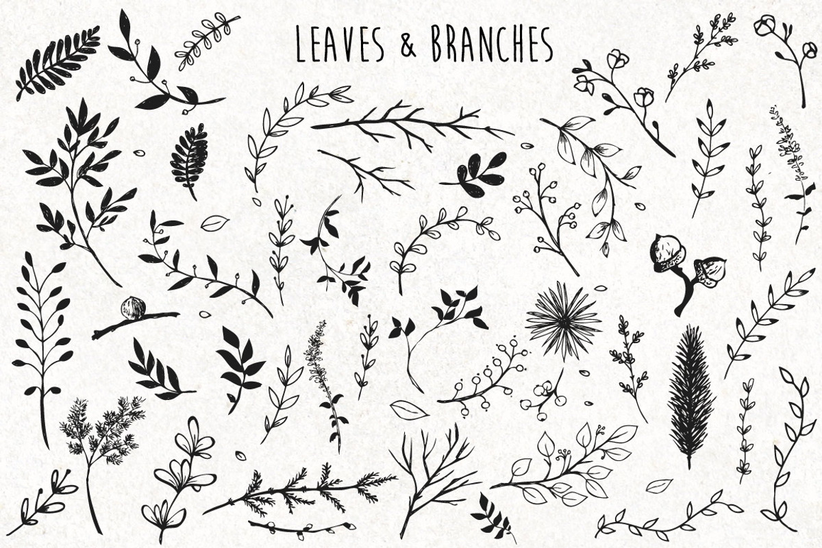 Decorate Everything! 200+ Elements, a Decorative Illustration by Julia Shvets (Photo 4 of 4)