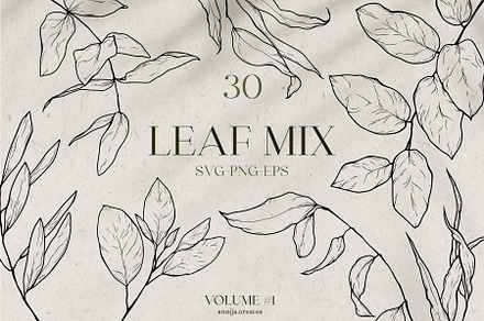 Botanical Leaf Clipart Bundle – VOL1