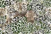 Safari Set. Seamless Animal Prints, a Pattern Graphic by Svetlana Kononova (Thumbnail 6 of 9)