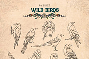 Wild Birds, an Animal Illustration by Ink Stories (Thumbnail 5 of 20)