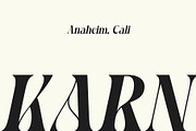 CS Brandis – Modern Serif Font, a Serif Font by Craft Supply Co. (Thumbnail 3 of 8)