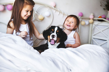 Little girls in the bed puppy stock photo containing girls and family