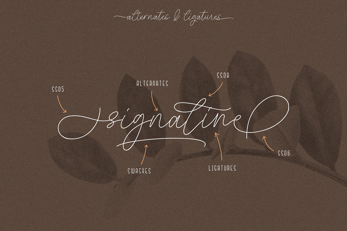 Signaline - Font Duo + Extras preview 7