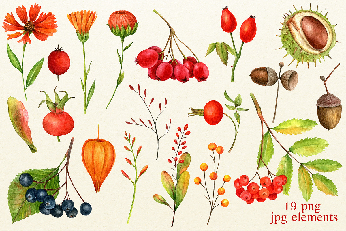 Autumn watercolor set, an Illustration by Nastilustra (Photo 3 of 7)