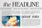 The Starly Ethical, a Serif Font by Soft Creative (Thumbnail 2 of 10)