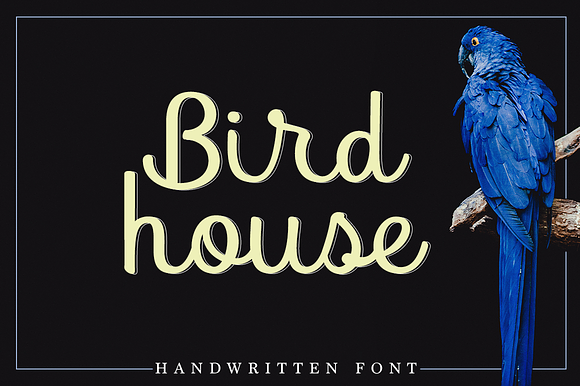 Bird house preview 8