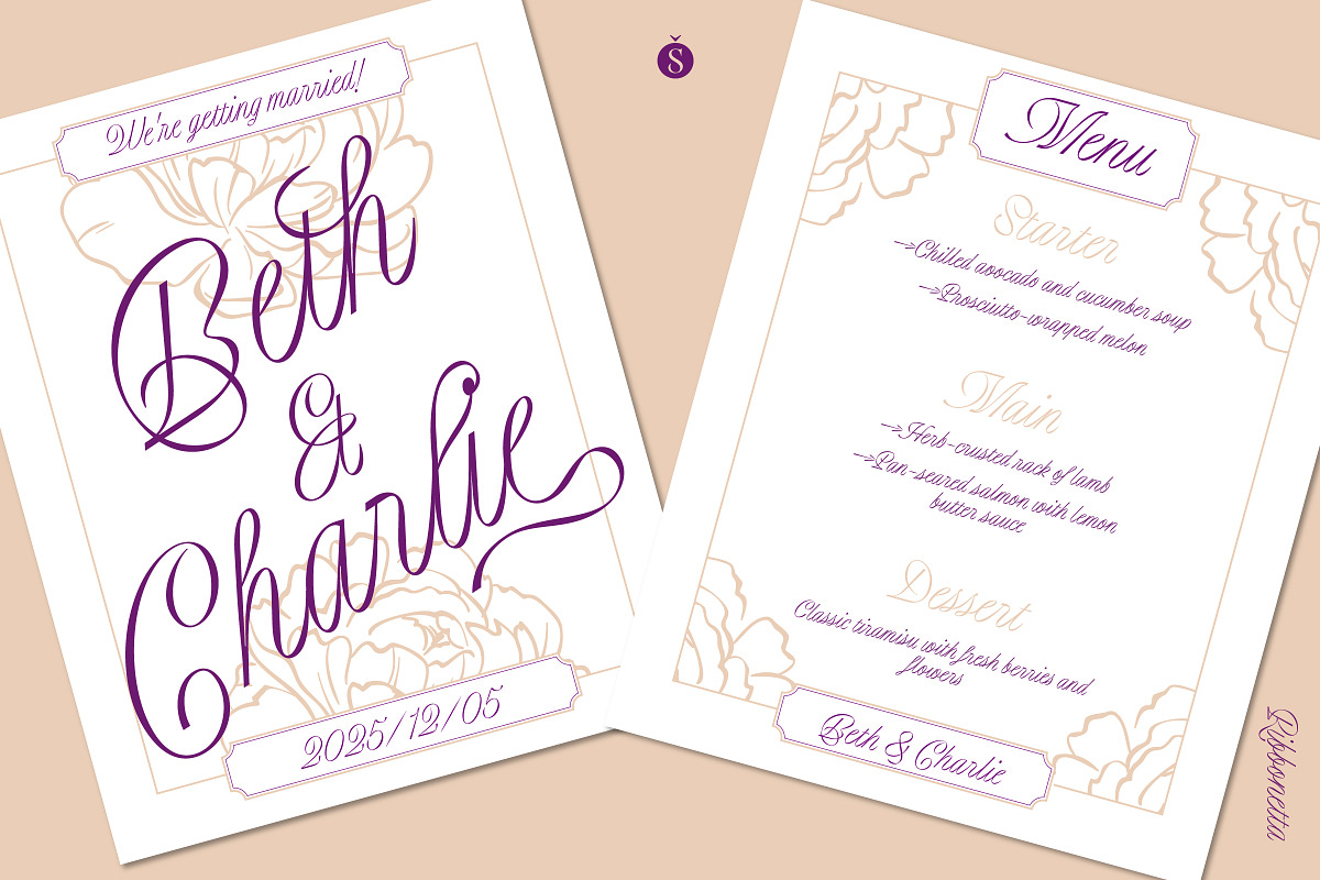 Ribbonetta, a Script Font by Sudtipos (Photo 4 of 6)