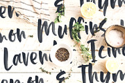 Palmetto SVG Font, a Handwritten Font by Callie Rian & Co. (Thumbnail 3 of 12)
