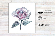 Black and Silver Glam Roses Clipart, an Illustration by Canvas Craft (Thumbnail 9 of 9)