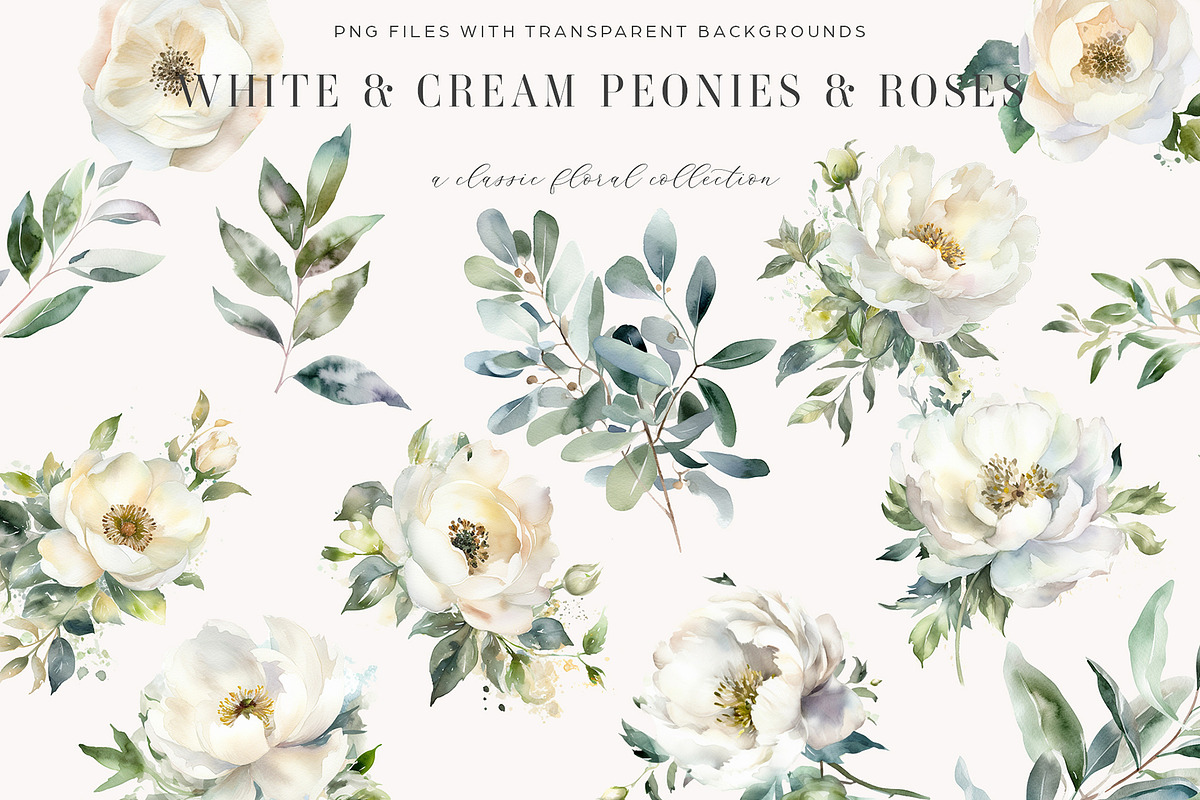 White and Cream Peonies and Roses, a Decorative Illustration by Twigs and Twine (Photo 2 of 6)