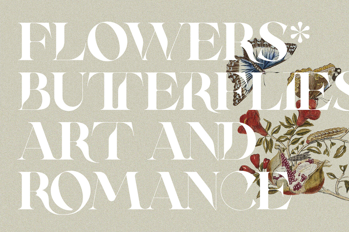 RATHER RISQUE - Ligature Serif Font, a Serif Font by SilverStag Type Foundry (Photo 18 of 27)