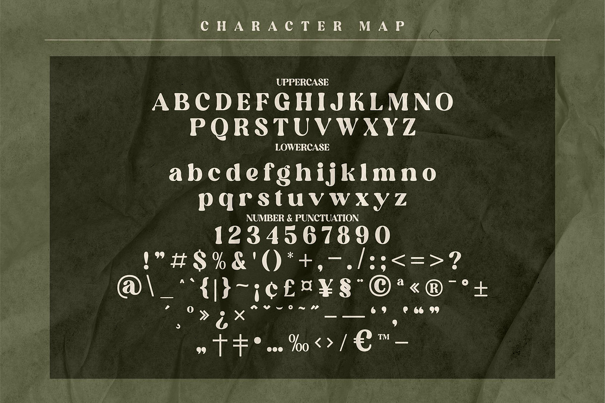 Elinga Classy Serif Font, a Script Font by Storytype Studio (Photo 6 of 8)