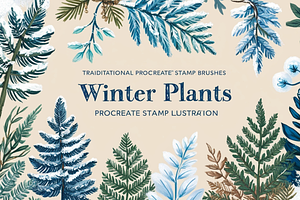 Winter Plants Procreate StampBrushes