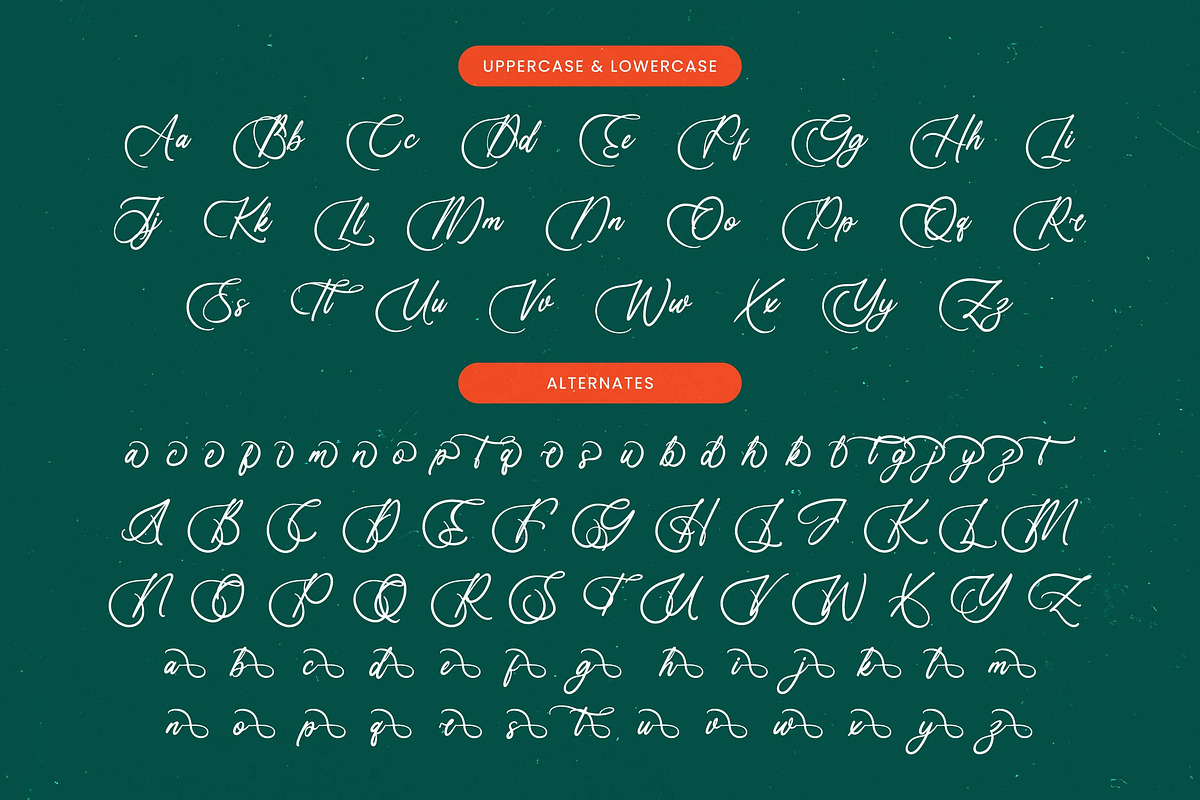 Uniquely Vifanite Bold Calligraphy, a Script Font by Letterena Studios Script (Photo 12 of 20)