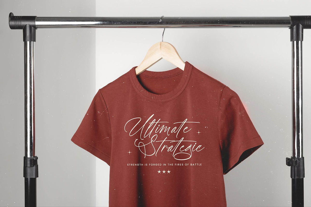 Battler Knight Stylish Signature, a Script Font by stylishtype.co (Photo 5 of 20)