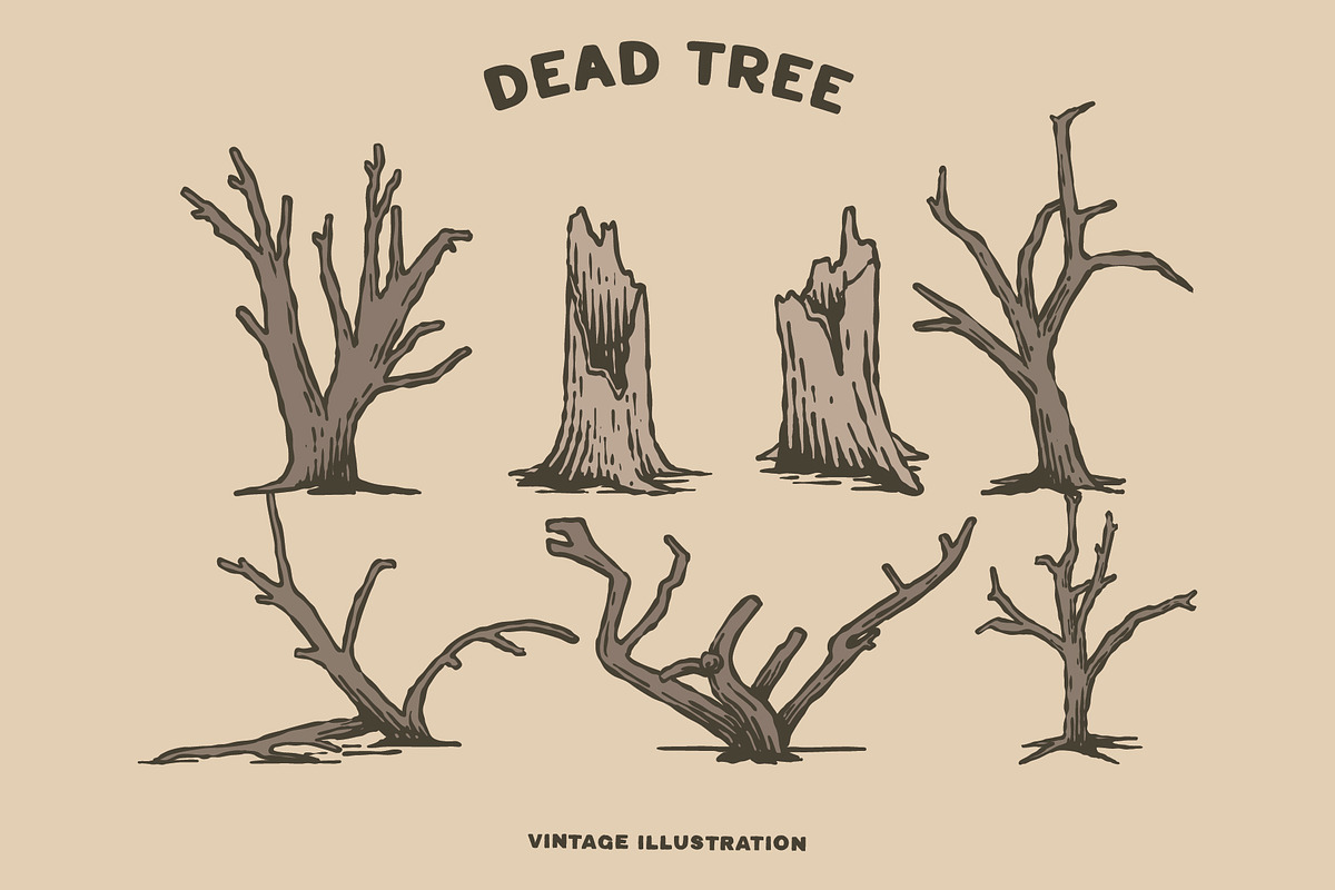 Outdoor Vintage Collection Vol 1, a Seasonal Illustration by rbcs_vibes (Photo 22 of 28)